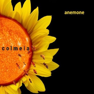 Colmeia