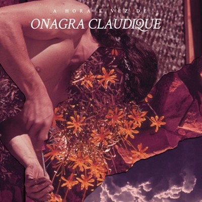 Onagra Claudique Hora E Vez De Onagra