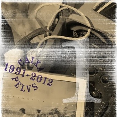 Pelvs 1991 2012 Caixa