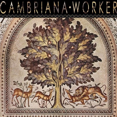 cambriana-worker-ep-2013