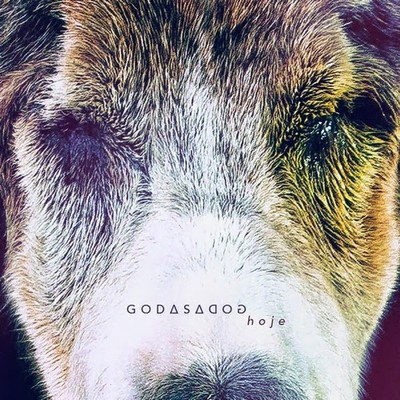 godsdog-hoje-2013