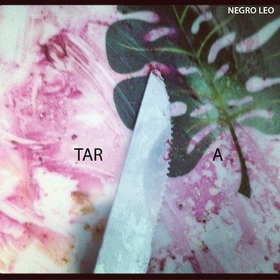 negro-leo-tara-2013