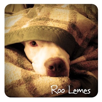 roo-lemes-roo-lemes-ep-2013