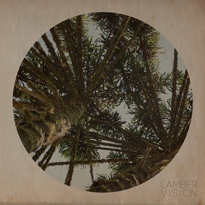 Lamber Vision