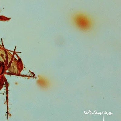 assopro-assopro-ep-2014