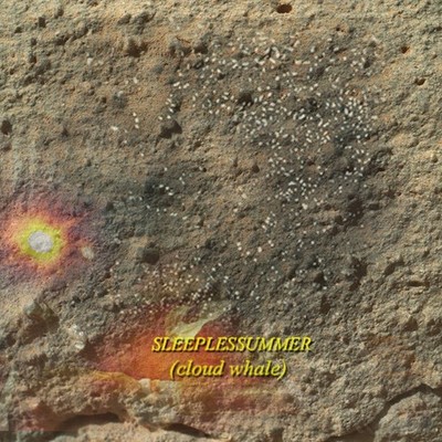Sleeplessummer