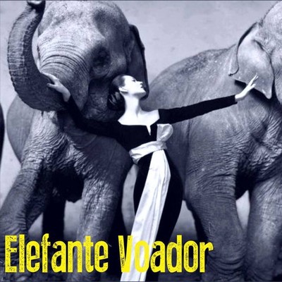 Elefante Voador Elefante Voador