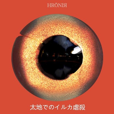 Hronir Massacre De Golfinhos Em Taiji