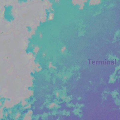 Terminal