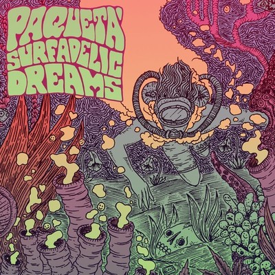 paqueta-surfadelic-dreams-2017