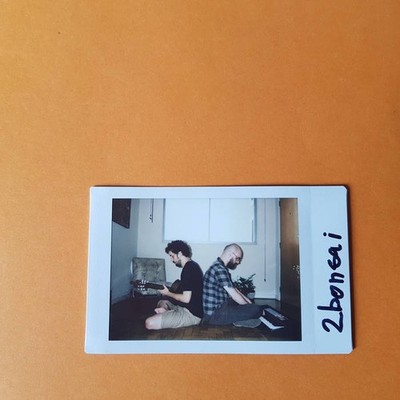 2bonsai Origami Ep