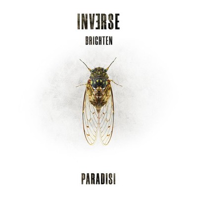 Inverse Brighten