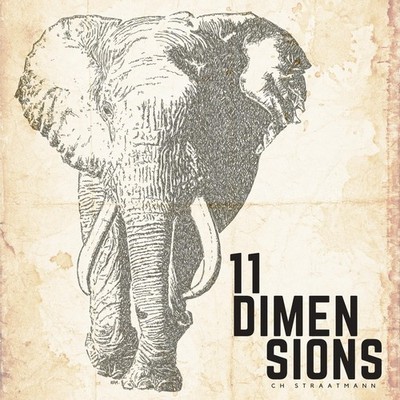 11 Dimensions