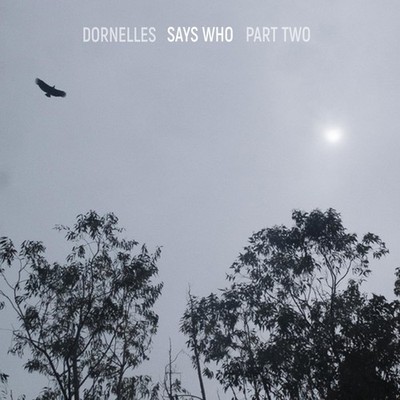 Says Who - Part Two