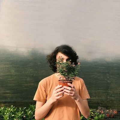 Tocar em Flores Pelado