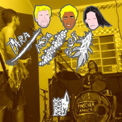 Paranóia Surf