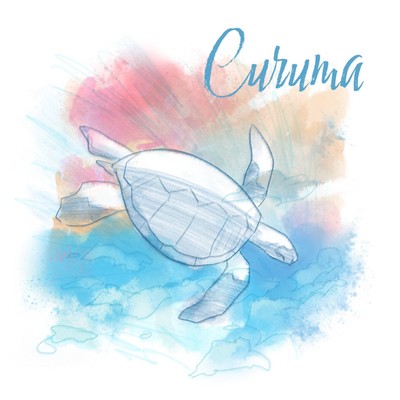 Curuma
