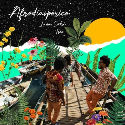 Afrodiaspórico