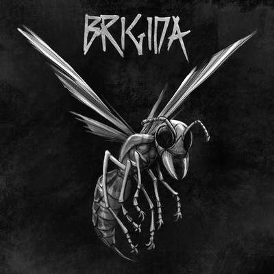 Brigida