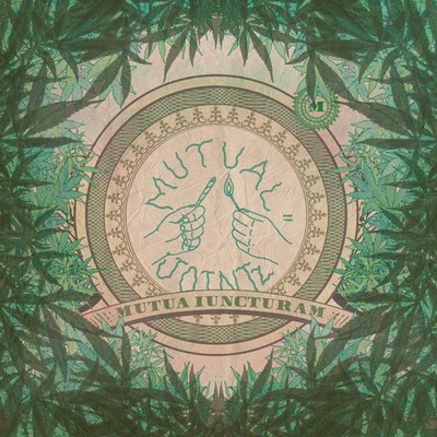 Mutual Joint