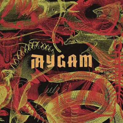 Aygam