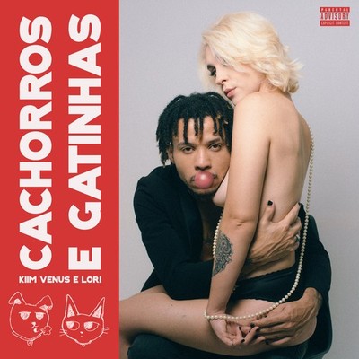 cachorros e gatinhas