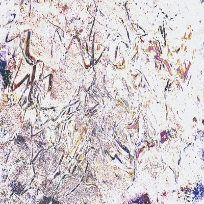 MITOSE
