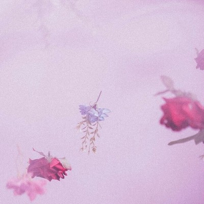 Flores Vivas