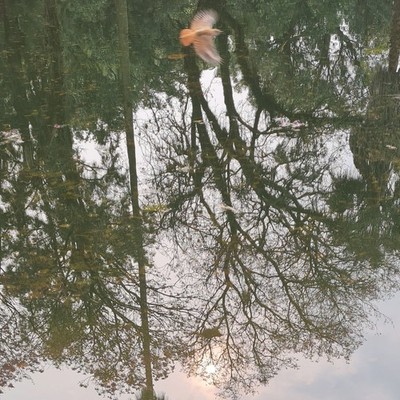 anthropocene devotional hymns