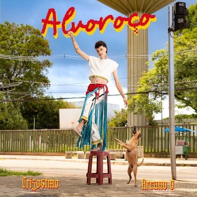 Alvoroço