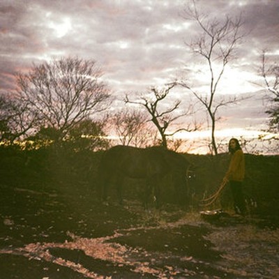 DEZERT HORSE