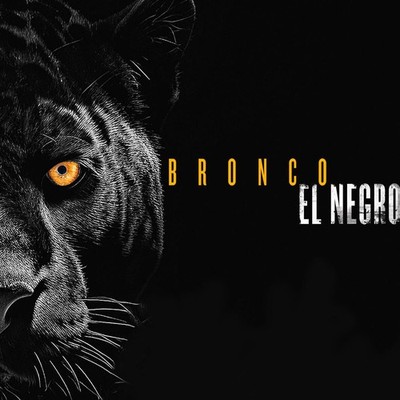 Bronco