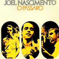 Capa de O Passaro